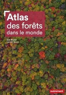 jolie couverture représentant la canopée forestière à l'automne